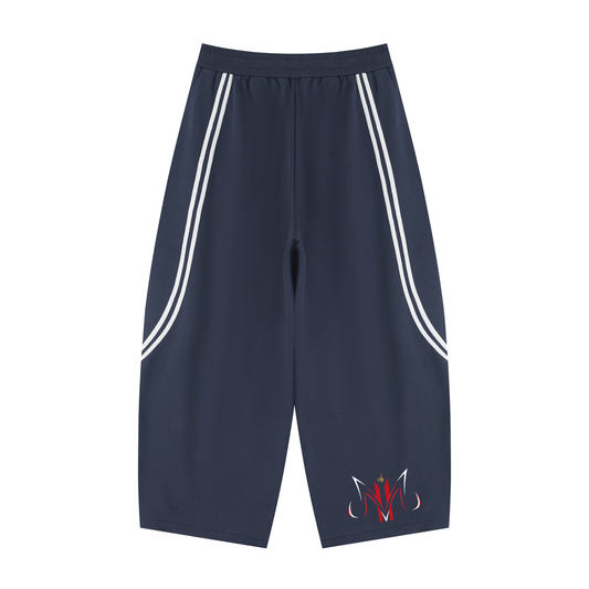 Vegeta,France,World Cup,Dragon Ball